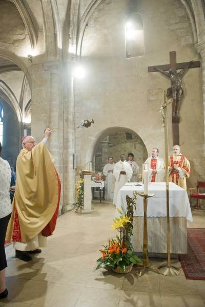 Nom de l'image : D3s013445a — Description :