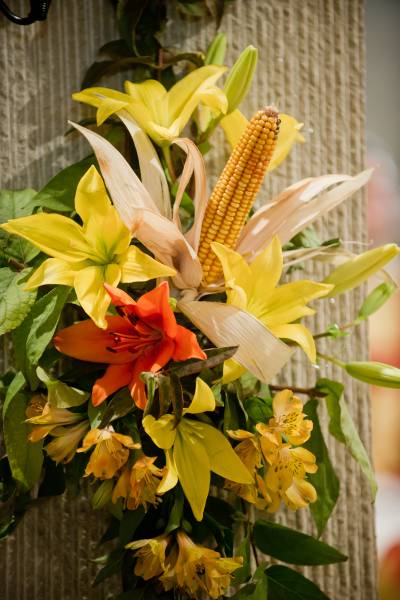 Nom de l'image : D3s013531a — Description :