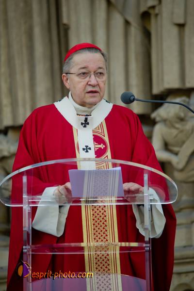 Nom de l'image : 082-D3s000875a-(c)www.Norbert-Jung.com — Description :