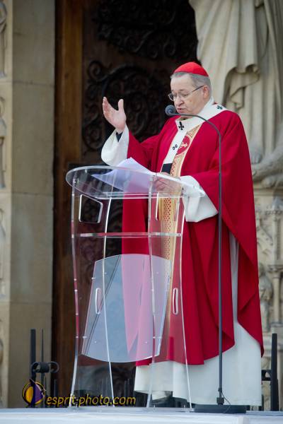 Nom de l'image : 085-D3s000901a-(c)www.Norbert-Jung.com — Description :