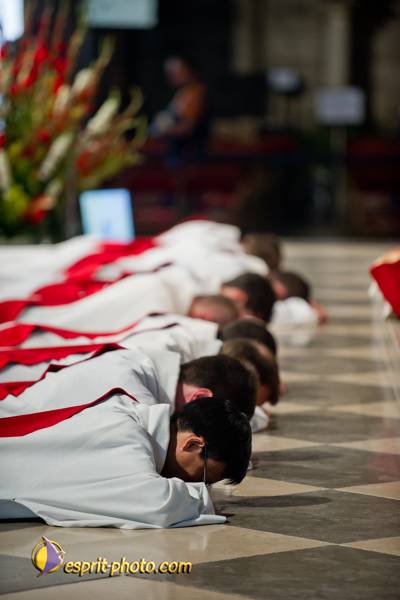 Nom de l'image : 124-D3s001007a-(c)www.Norbert-Jung.com — Description :