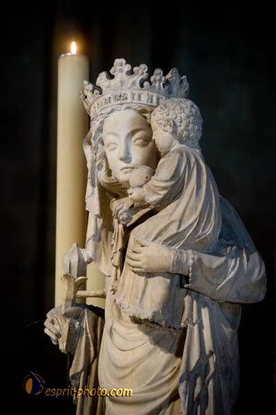 Nom de l'image : 128-D3s001023a-(c)www.Norbert-Jung.com — Description :