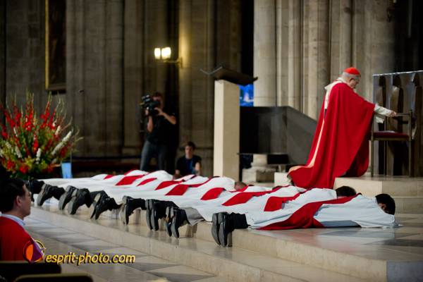 Nom de l'image : 133-D3s001037a-(c)www.Norbert-Jung.com — Description :