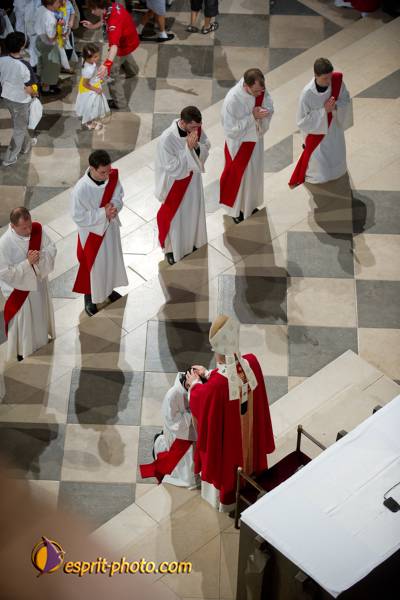 Nom de l'image : 136-D3s001040a-(c)www.Norbert-Jung.com — Description :