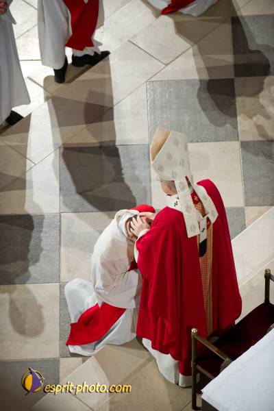 Nom de l'image : 144-D3s001048a-(c)www.Norbert-Jung.com — Description :