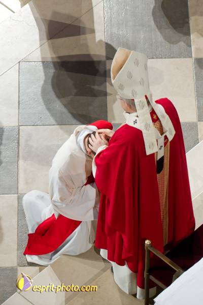 Nom de l'image : 147-D3s001049a-(c)www.Norbert-Jung.com — Description :