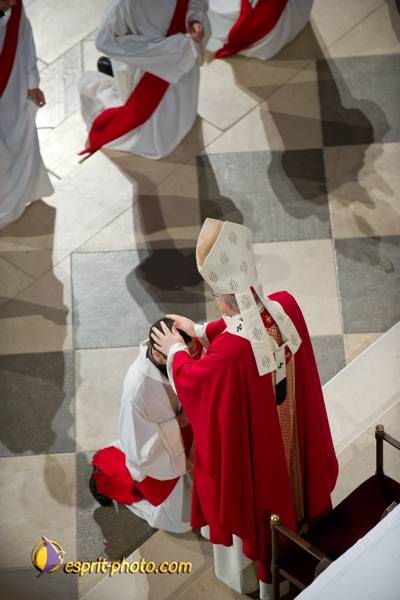 Nom de l'image : 148-D3s001051a-(c)www.Norbert-Jung.com — Description :