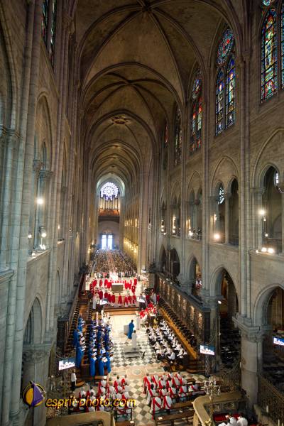 Nom de l'image : 156-D3s001061a-(c)www.Norbert-Jung.com — Description :