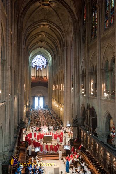 Nom de l'image : 157-D30108739a-(c)www.Norbert-Jung.com — Description :