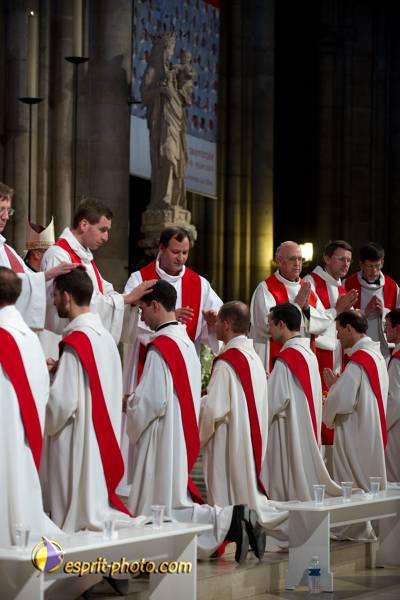 Nom de l'image : 173-D3s001180a-(c)www.Norbert-Jung.com — Description :