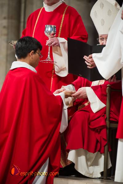 Nom de l'image : 191-D3s001301a-(c)www.Norbert-Jung.com — Description :