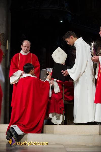 Nom de l'image : 192-D3s001304a-(c)www.Norbert-Jung.com — Description :