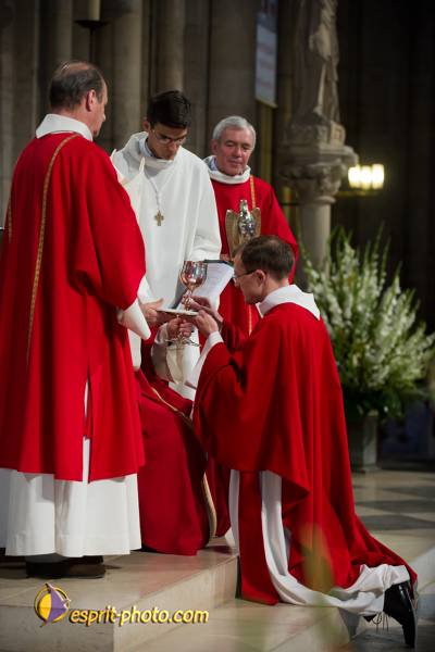 Nom de l'image : 194-D3s001309a-(c)www.Norbert-Jung.com — Description :