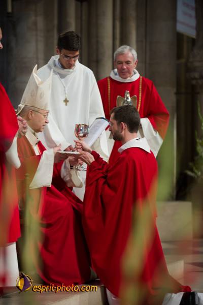 Nom de l'image : 204-D3s001339a-(c)www.Norbert-Jung.com — Description :