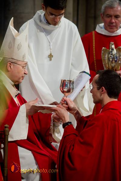 Nom de l'image : 214-D3s001385a-(c)www.Norbert-Jung.com — Description :