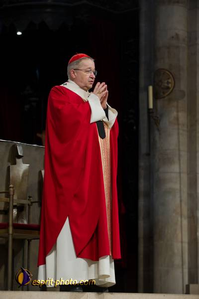 Nom de l'image : 221-D3s001414a-(c)www.Norbert-Jung.com — Description :