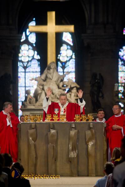 Nom de l'image : 223-D3s001435a-(c)www.Norbert-Jung.com — Description :