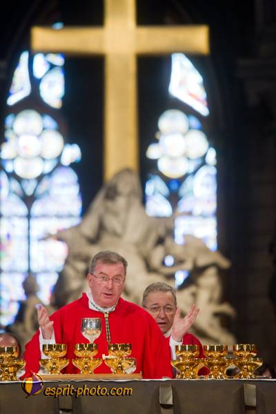 Nom de l'image : 225-D3s001441a-(c)www.Norbert-Jung.com — Description :