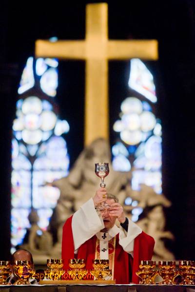 Nom de l'image : 227-D3s001457a-(c)www.Norbert-Jung.com — Description :