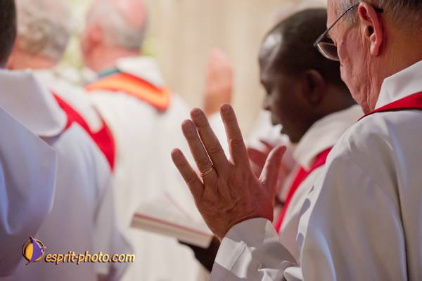 Nom de l'image : 228-D3s001461a-(c)www.Norbert-Jung.com — Description :