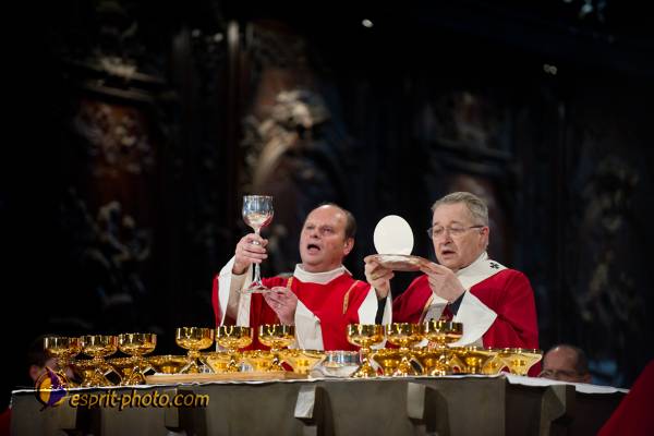 Nom de l'image : 231-D3s001473a-(c)www.Norbert-Jung.com — Description :