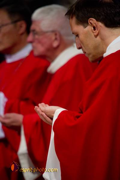 Nom de l'image : 237-D3s001489a-(c)www.Norbert-Jung.com — Description :