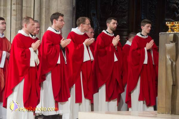 Nom de l'image : 238-D3s001499a-(c)www.Norbert-Jung.com — Description :