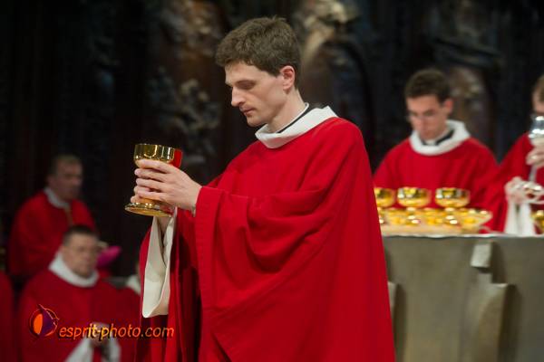 Nom de l'image : 241-D3s001516a-(c)www.Norbert-Jung.com — Description :