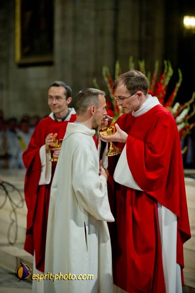 Nom de l'image : 255-D3s001568a-(c)www.Norbert-Jung.com — Description :