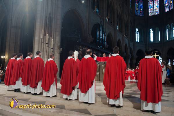 Nom de l'image : 265-D30108847a-(c)www.Norbert-Jung.com — Description :