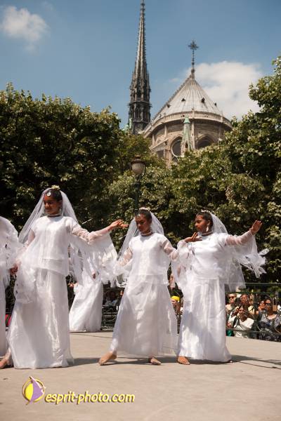 Nom de l'image : 281-D30108929a-(c)www.Norbert-Jung.com — Description :