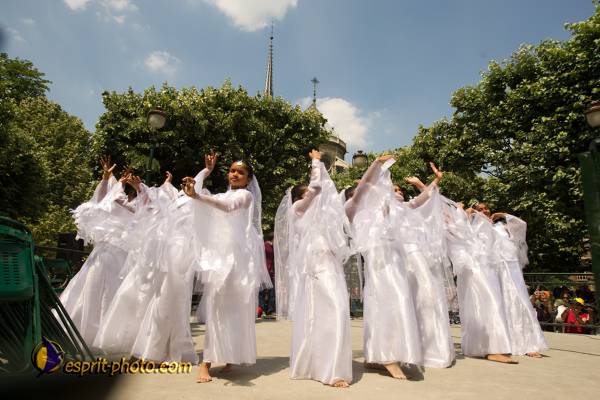 Nom de l'image : 282-D3s001805a-(c)www.Norbert-Jung.com — Description :