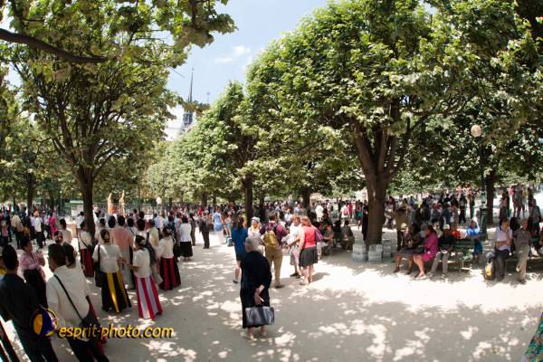 Nom de l'image : 300-D30108960a-(c)www.Norbert-Jung.com — Description :