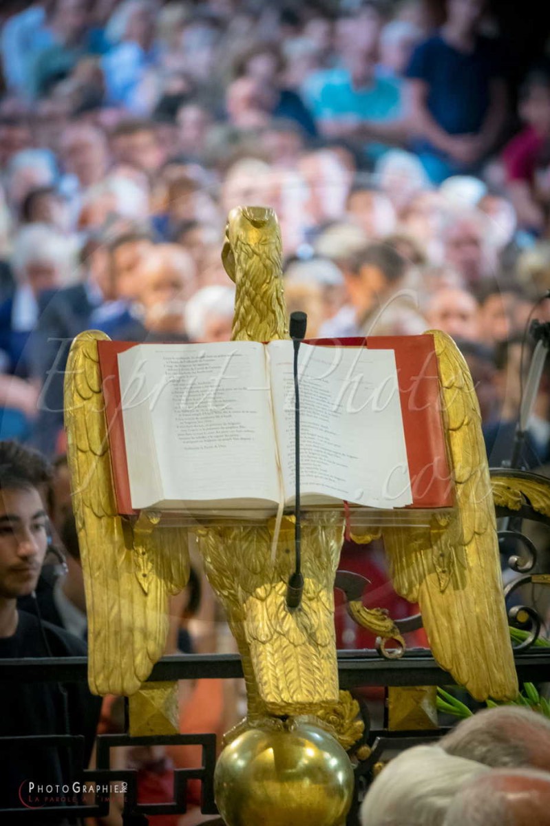 Nom de l'image : 180624-163051_S1084841_c_PhotoGraphie.Pro — Description :  S1084841