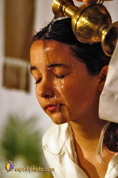 Nom de l'image : D1227563-1 — Description :