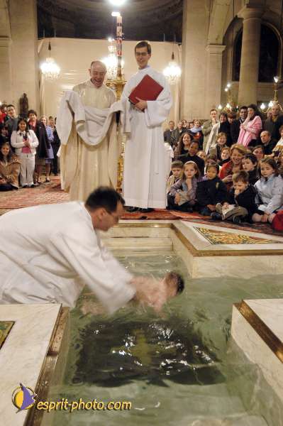 Nom de l'image : D1123808-01 — Description :