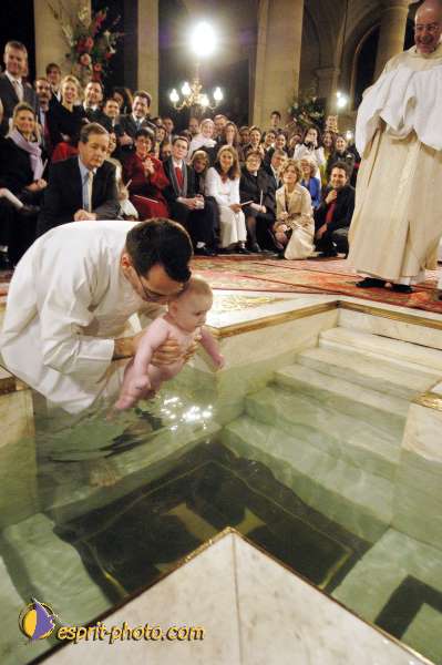 Nom de l'image : D1123829-01 — Description :