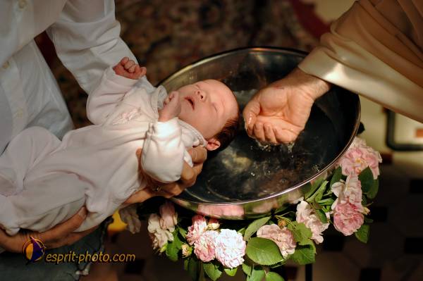 Nom de l'image : D2226436_1 — Description :