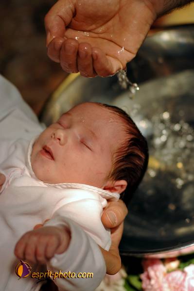 Nom de l'image : D2226475_1 — Description :