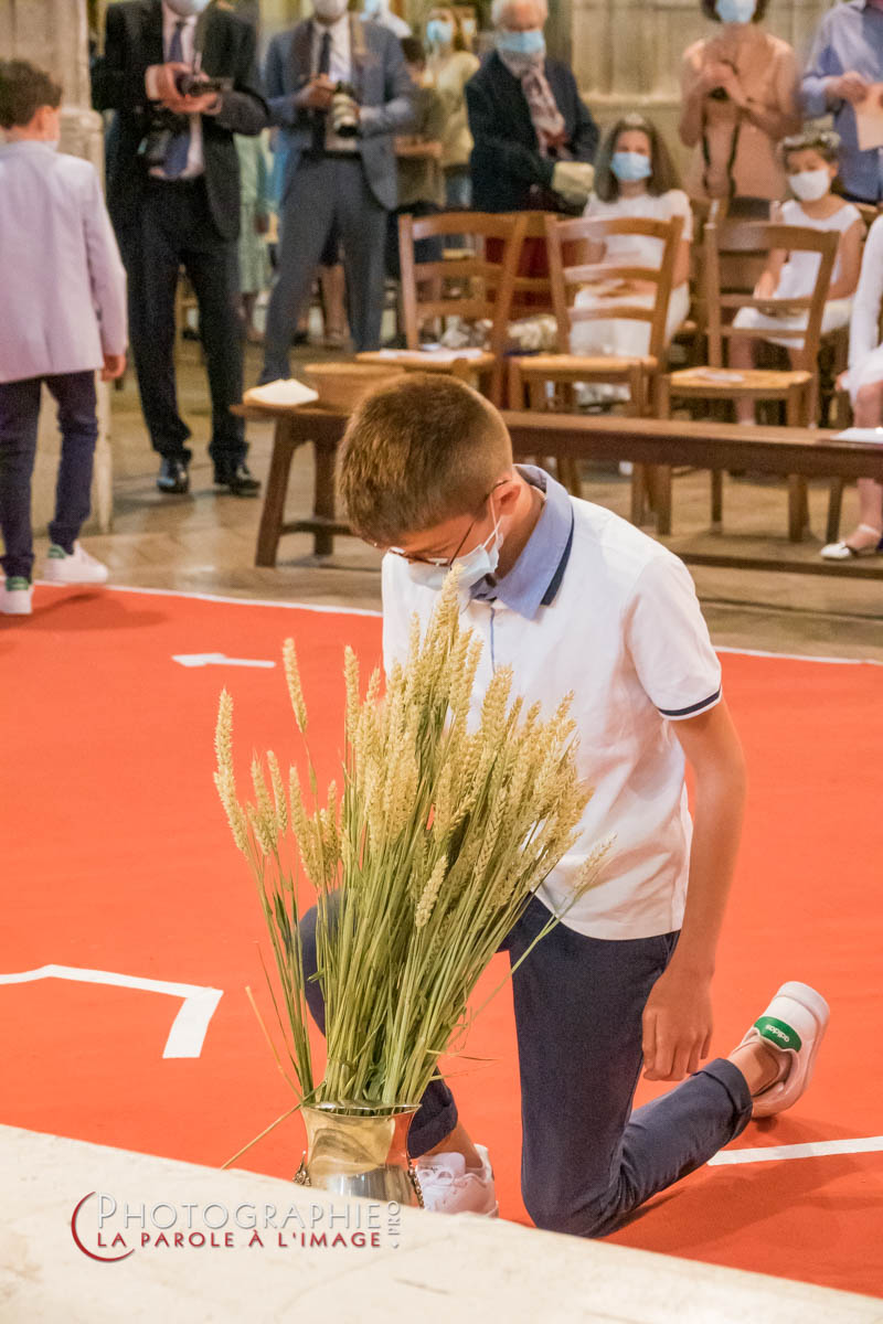 Nom de l'image : S1147235_c_Satisfecit-Editions.fr — Description :