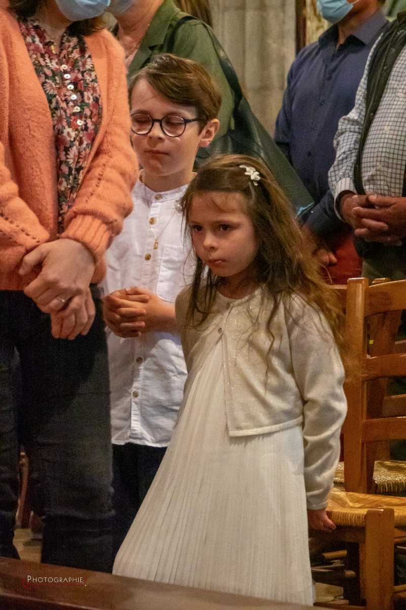 Nom de l'image : S1147585 — Description :