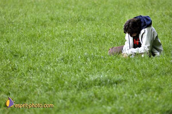 Nom de l'image : D2005342-1 — Description :