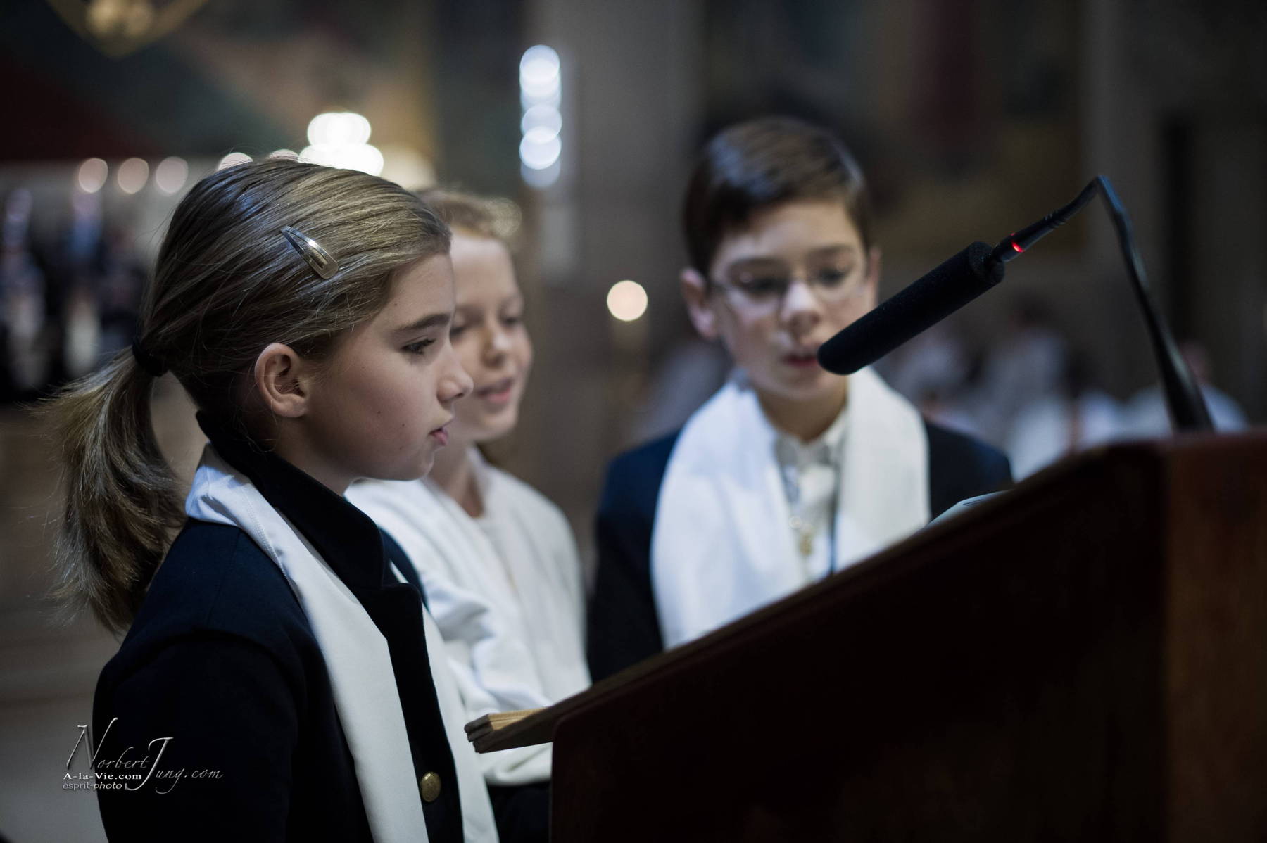 Nom de l'image : 018-D3s094320-www.Photographie.Pro — Description :