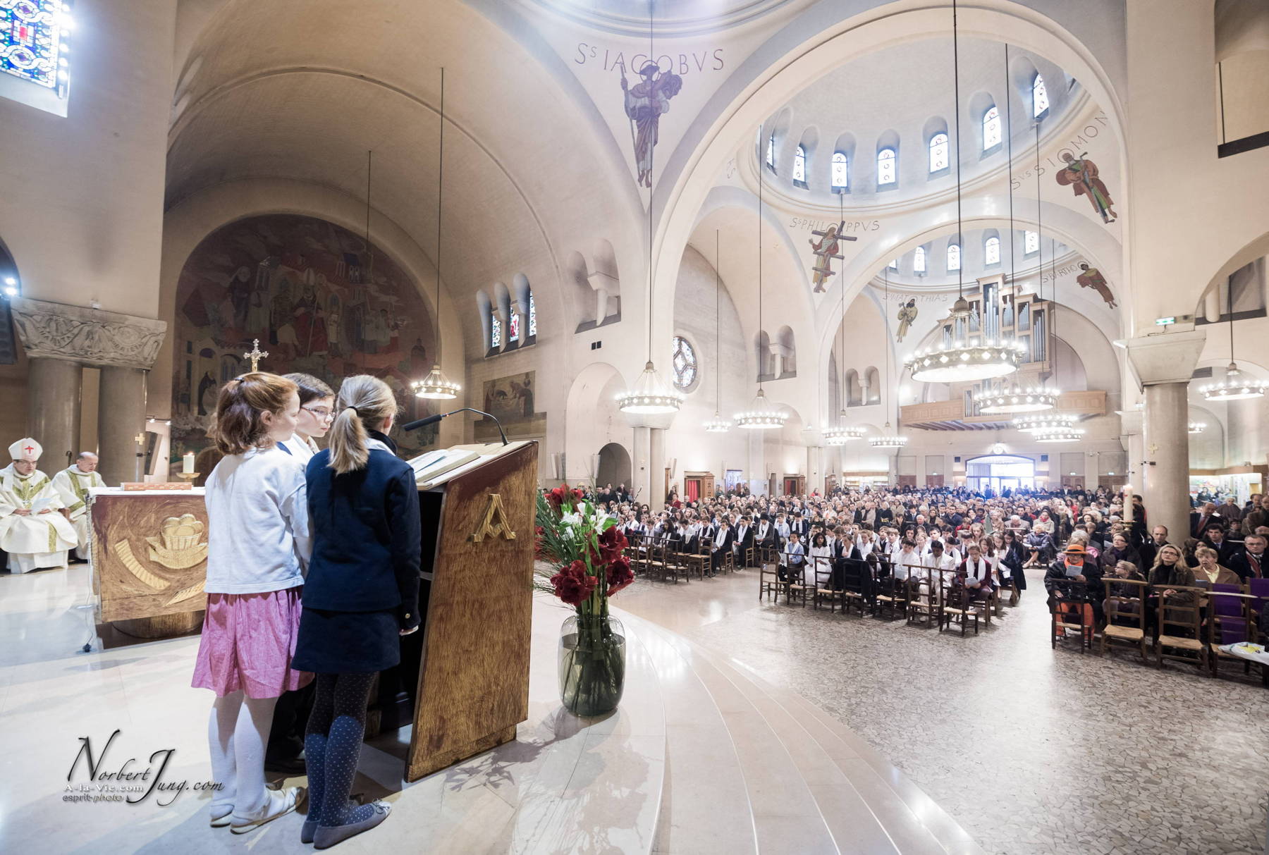 Nom de l'image : 020-D8e011295-www.Photographie.Pro — Description :