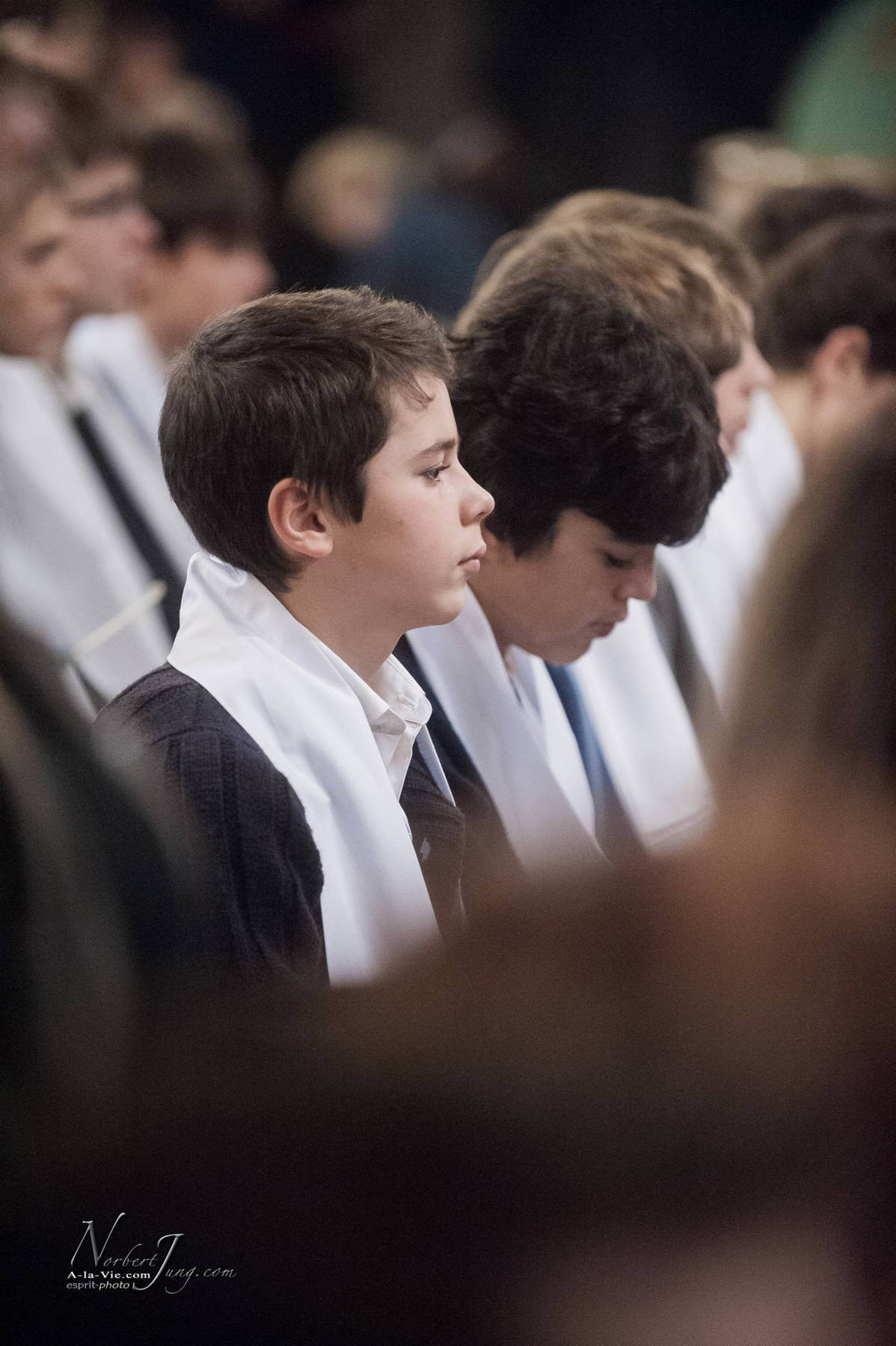 Nom de l'image : 037-E30023732-www.Photographie.Pro — Description :