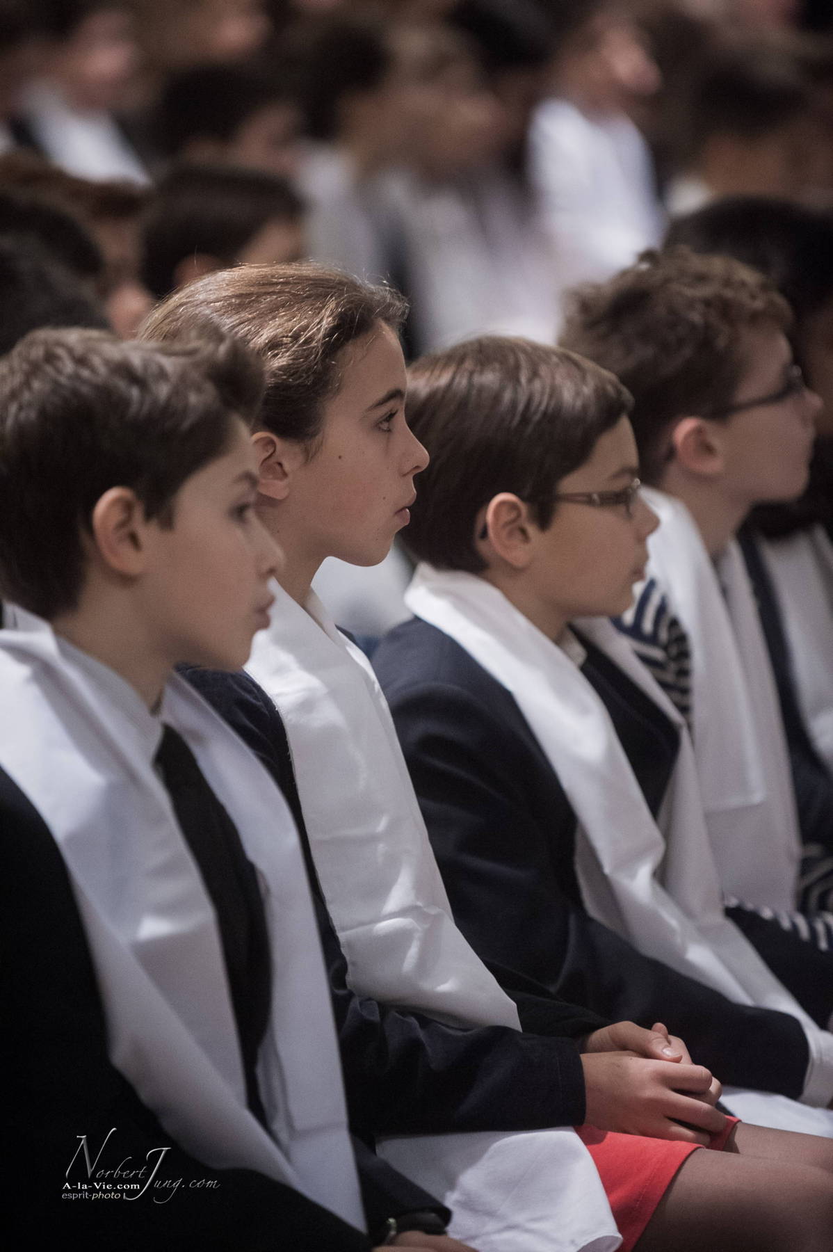 Nom de l'image : 046-E30023744-www.Photographie.Pro — Description :