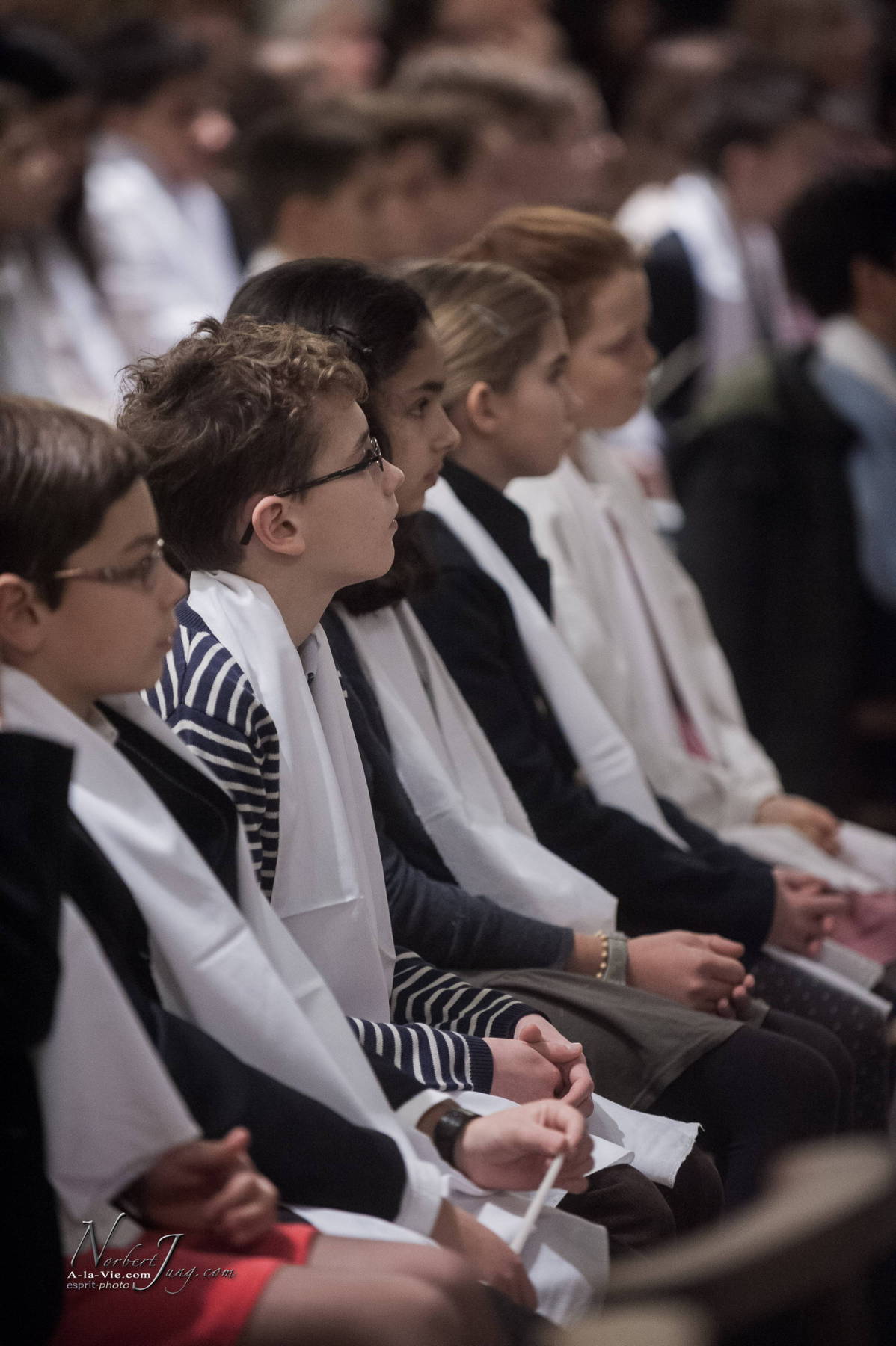 Nom de l'image : 047-E30023746-www.Photographie.Pro — Description :