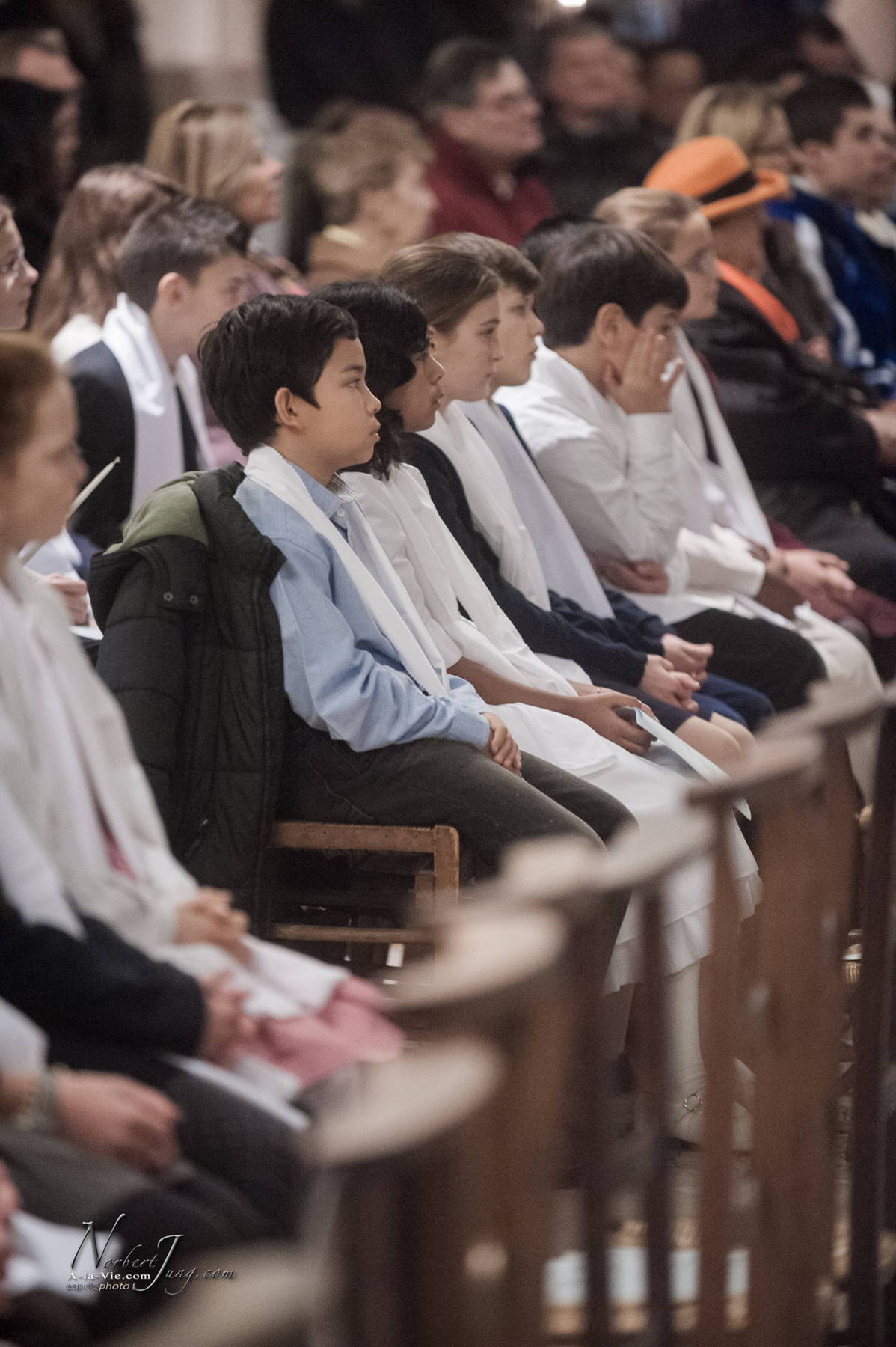 Nom de l'image : 048-E30023748-www.Photographie.Pro — Description :