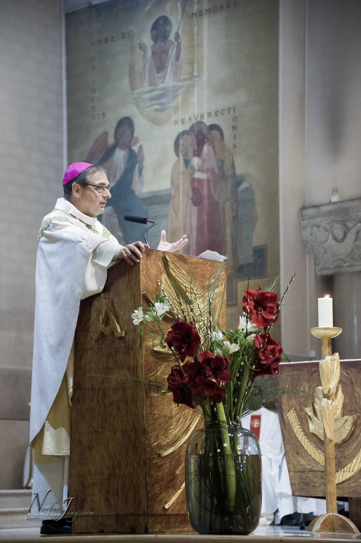 Nom de l'image : 052-D3s094356-www.Photographie.Pro — Description :