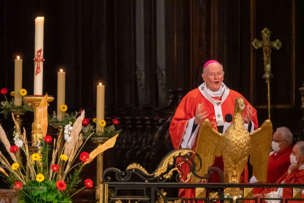 Nom de l'image : 030-210523-163002_S1146943_c_Satisfecit-Editions.fr — Description :